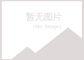 重庆长寿夏岚机械有限公司